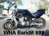 99 Suzuki Bandit 600